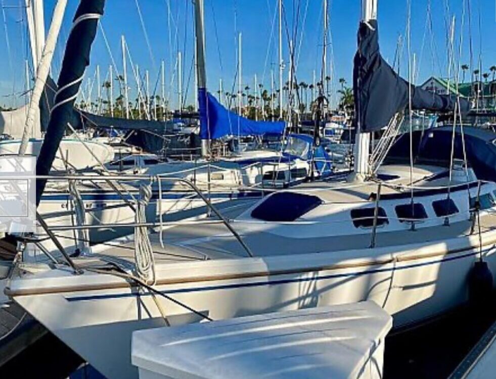 1989 Catalina 34 for Sale