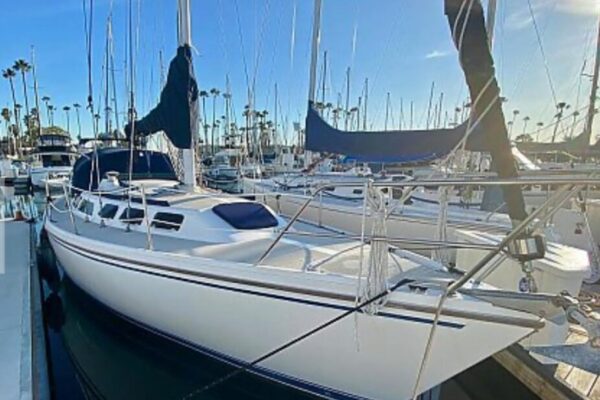 1989 Catalina 34 for Sale