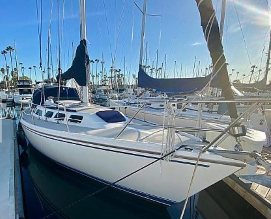 1989 Catalina 34 for Sale